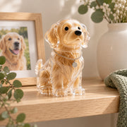 Clear Dog-Shaped Pet Hair Keepsake Box — image 6 of 6